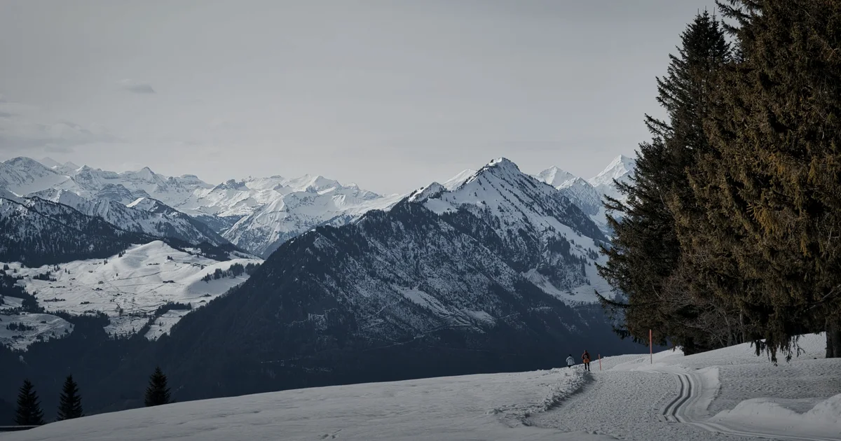Leucine on its own: 8.5 grams twice a day raised VOβmax in cross-country skiers