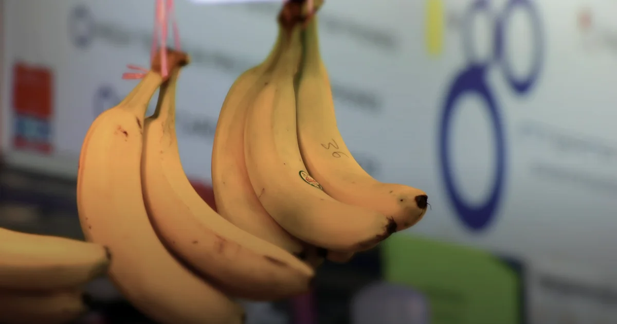 Potassium for Athletes: Requirements, Blood Pressure, and Recovery Without Pills