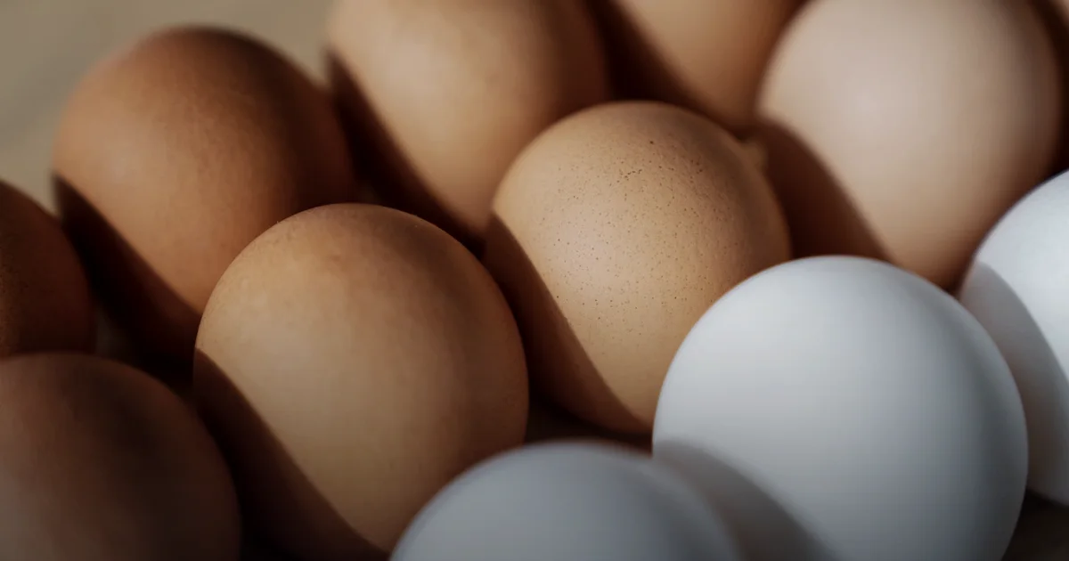 Protein for endurance: 1,8 g/kg and why it's for runners, not bodybuilders